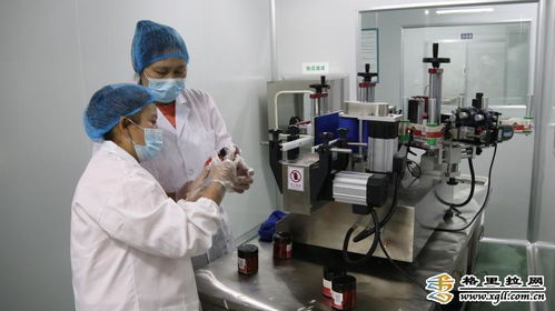 香格里拉市南素商貿(mào)產(chǎn)品深加工推動區(qū)域經(jīng)濟發(fā)展，迪慶頻道關(guān)注商務(wù)信息咨詢新動態(tài)